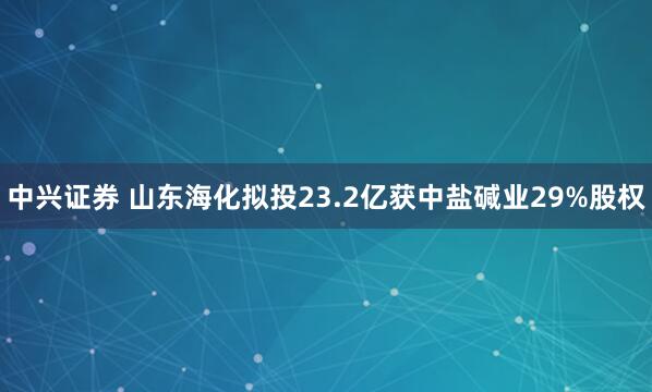 中兴证券 山东海化拟投23.2亿获中盐碱业29%股权